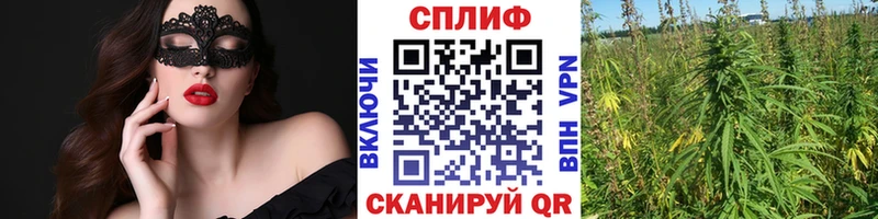 Конопля марихуана Строитель