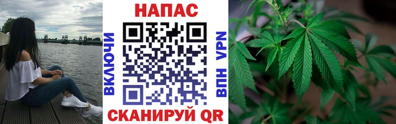 блэк спрут ССЫЛКА  Строитель  Марихуана White Widow 